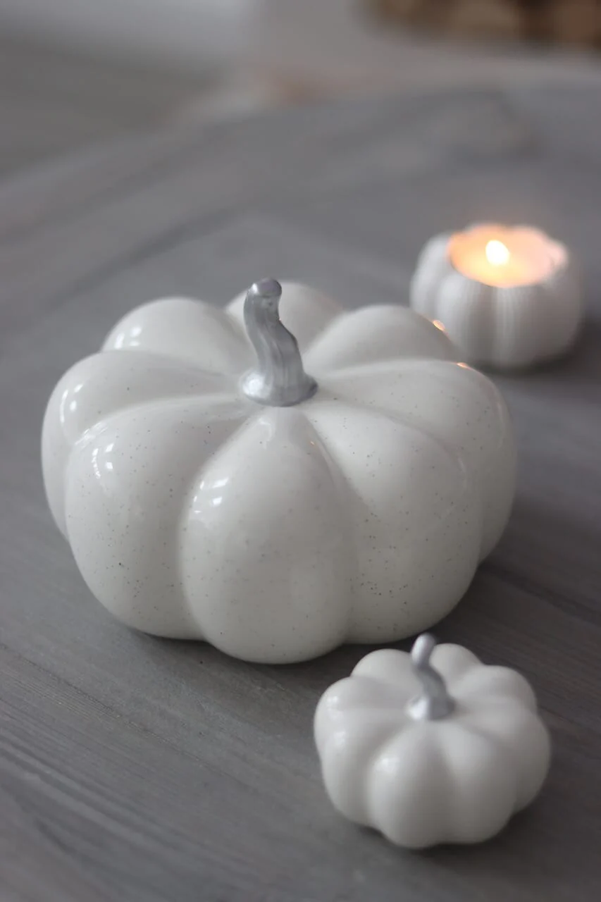 Ceramic Pumpkin Speckled- Large