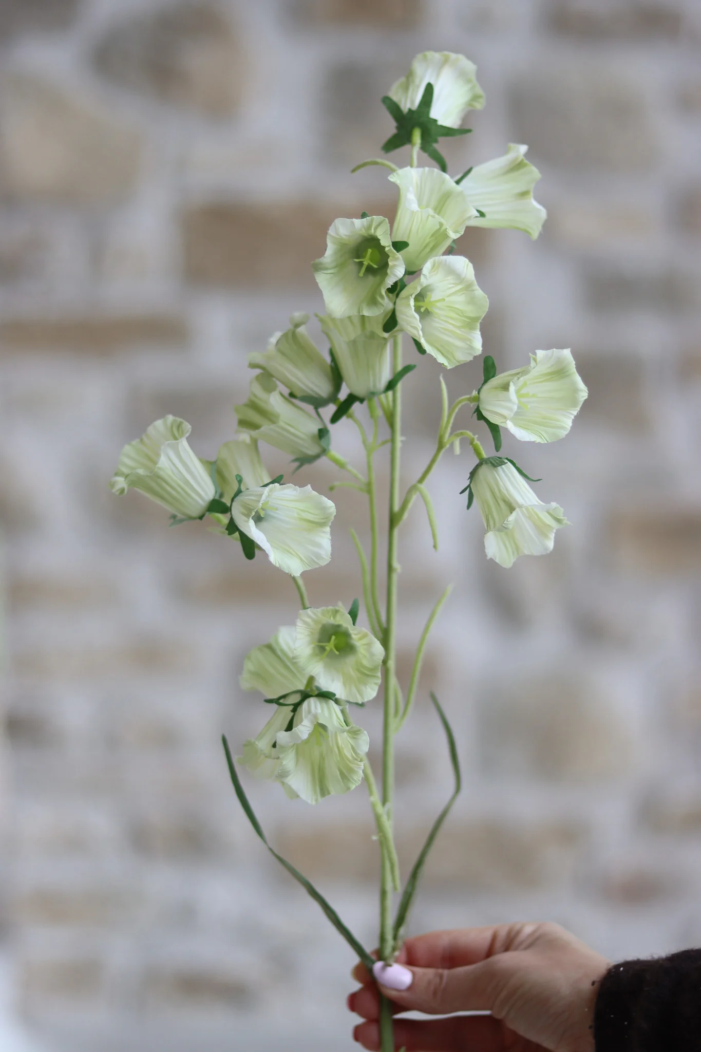 Faux Flowers – Green Campanula Stem