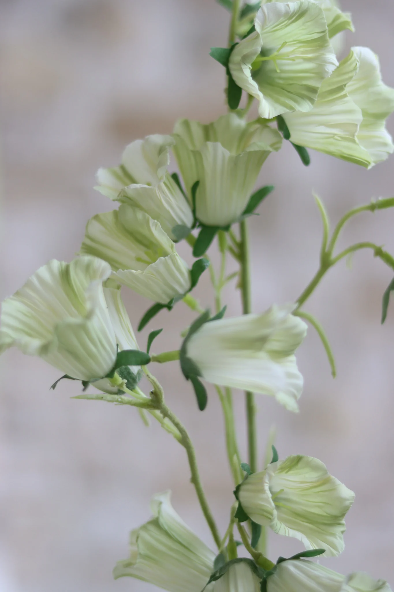 Faux Flowers – Green Campanula Stem - Image 2