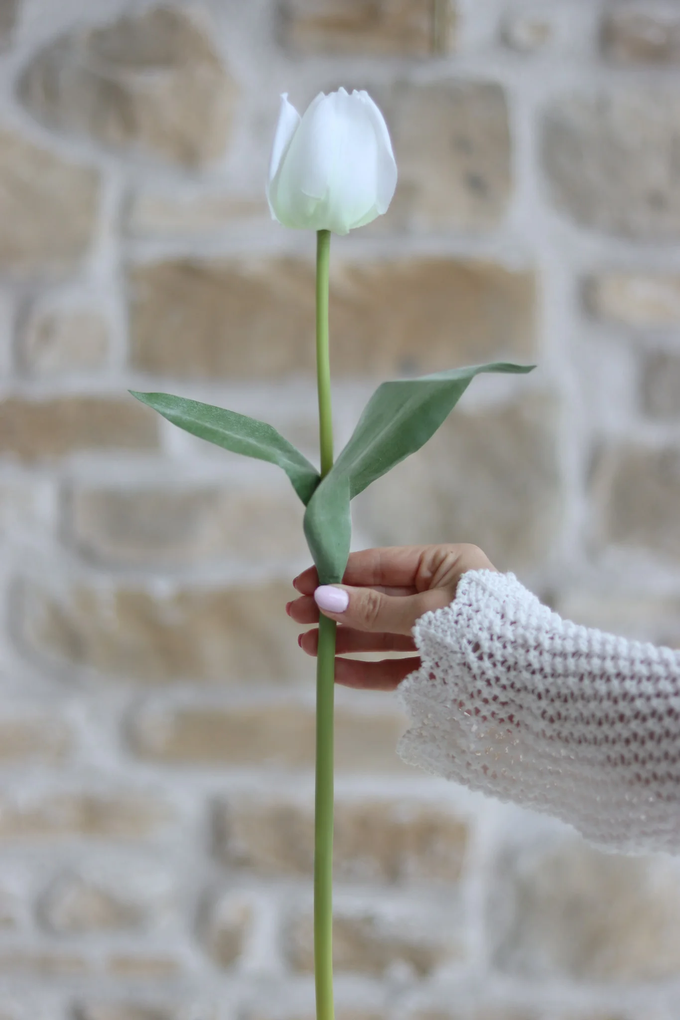 White Tulip Ceramic Vase Styling Bundle - Image 3